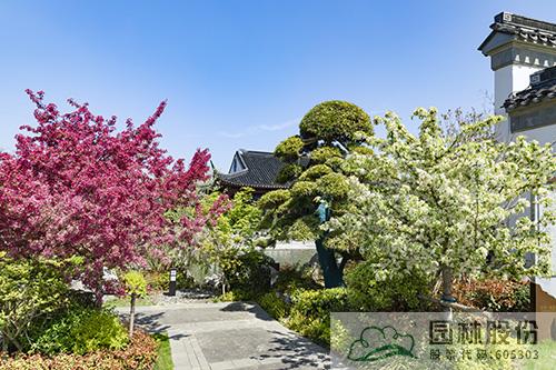 亚洲精品白浆高清久久久久久