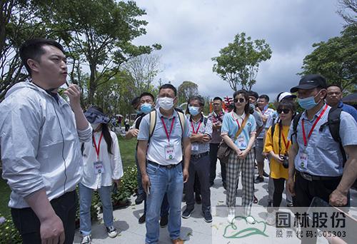 亚洲精品白浆高清久久久久久