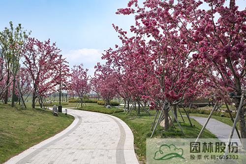 亚洲精品白浆高清久久久久久