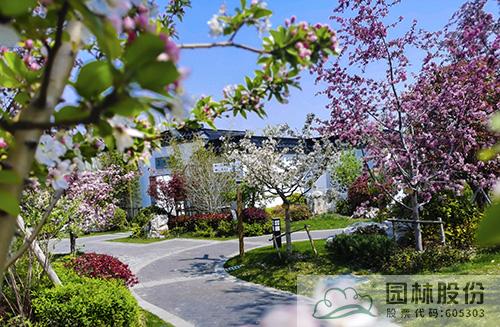 亚洲精品白浆高清久久久久久