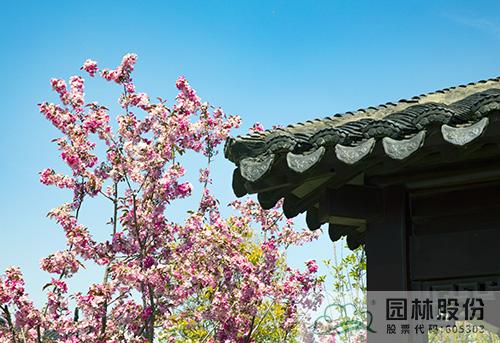 亚洲精品白浆高清久久久久久