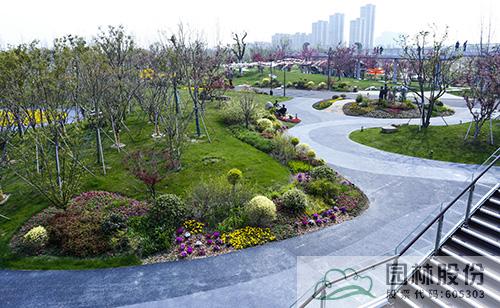 亚洲精品白浆高清久久久久久