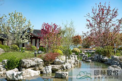 亚洲精品白浆高清久久久久久