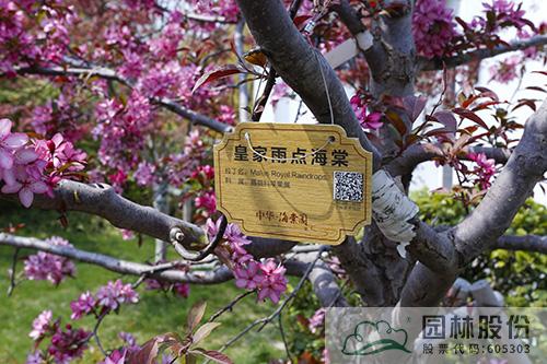 亚洲精品白浆高清久久久久久