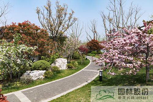 亚洲精品白浆高清久久久久久