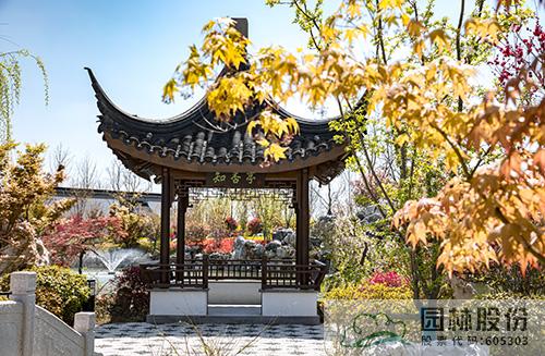 亚洲精品白浆高清久久久久久