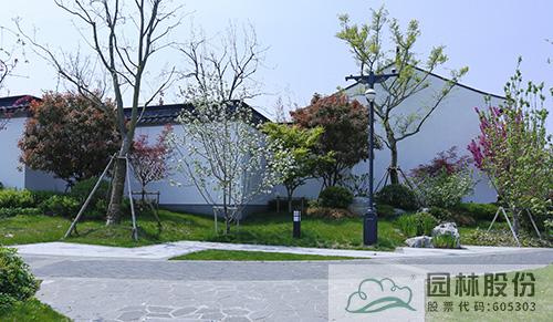 亚洲精品白浆高清久久久久久