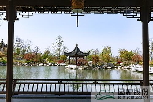 亚洲精品白浆高清久久久久久