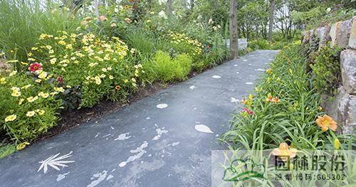 亚洲精品白浆高清久久久久久