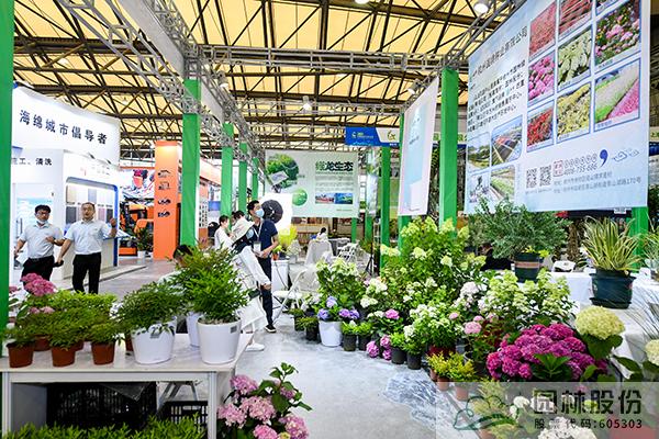 亚洲精品白浆高清久久久久久