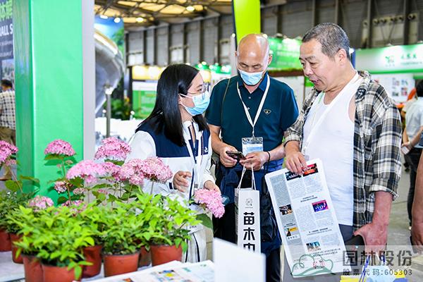 亚洲精品白浆高清久久久久久