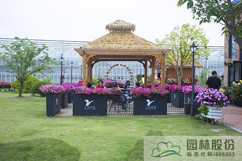 亚洲精品白浆高清久久久久久