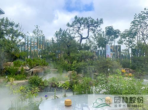 亚洲精品白浆高清久久久久久