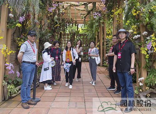 亚洲精品白浆高清久久久久久