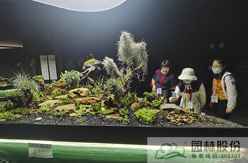 亚洲精品白浆高清久久久久久