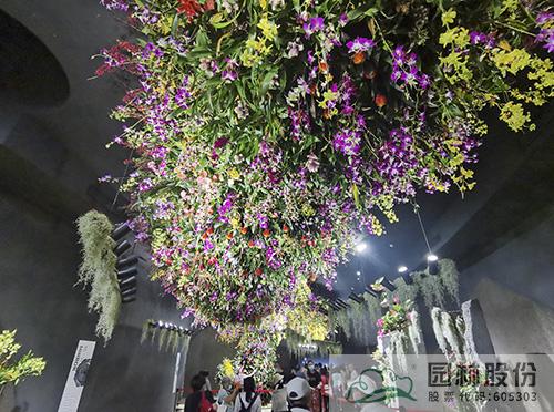 亚洲精品白浆高清久久久久久