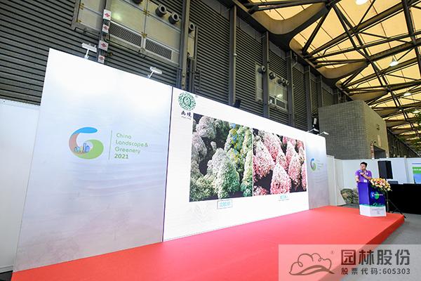 亚洲精品白浆高清久久久久久