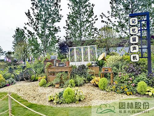 亚洲精品白浆高清久久久久久