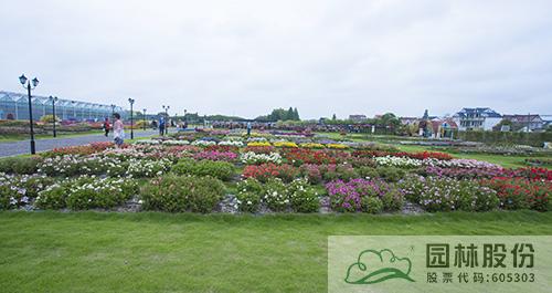 亚洲精品白浆高清久久久久久