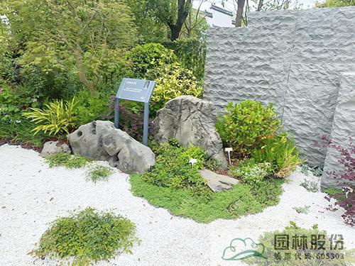 亚洲精品白浆高清久久久久久