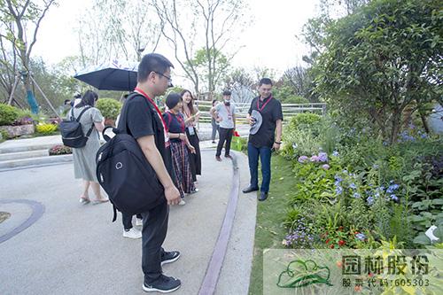 亚洲精品白浆高清久久久久久