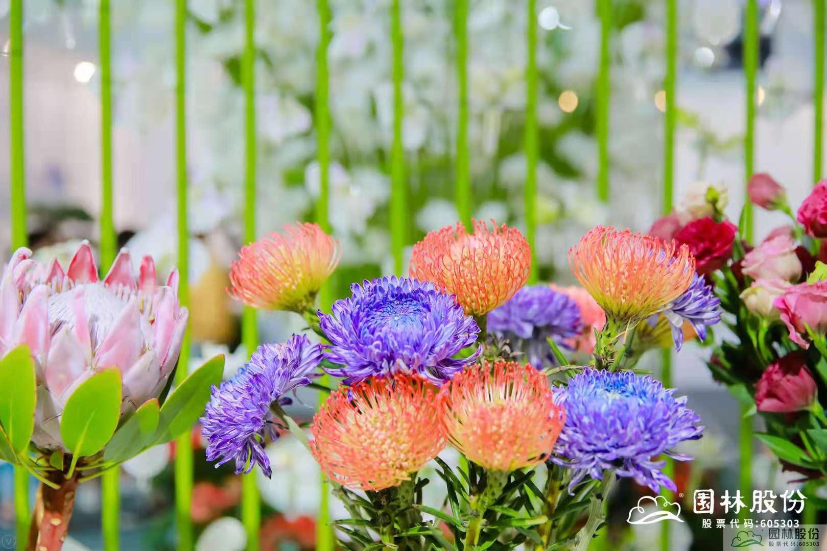 亚洲精品白浆高清久久久久久