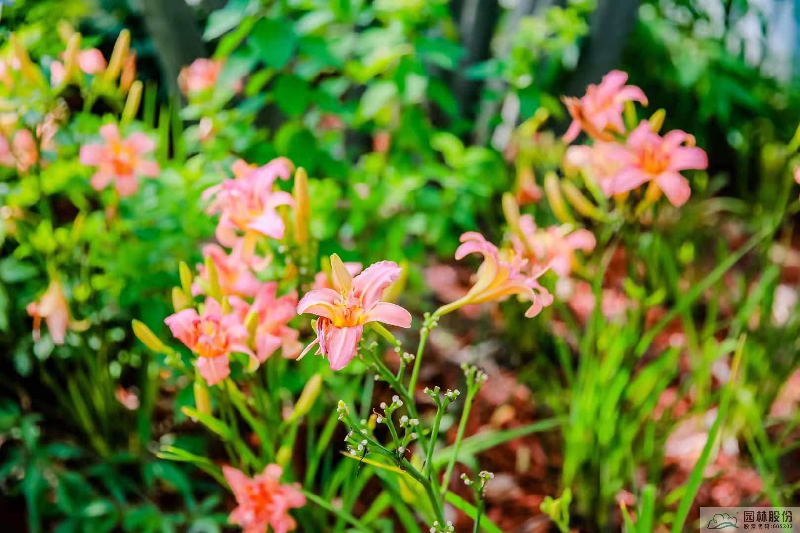 亚洲精品白浆高清久久久久久