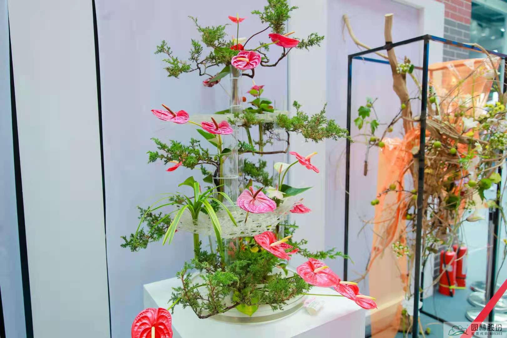 亚洲精品白浆高清久久久久久