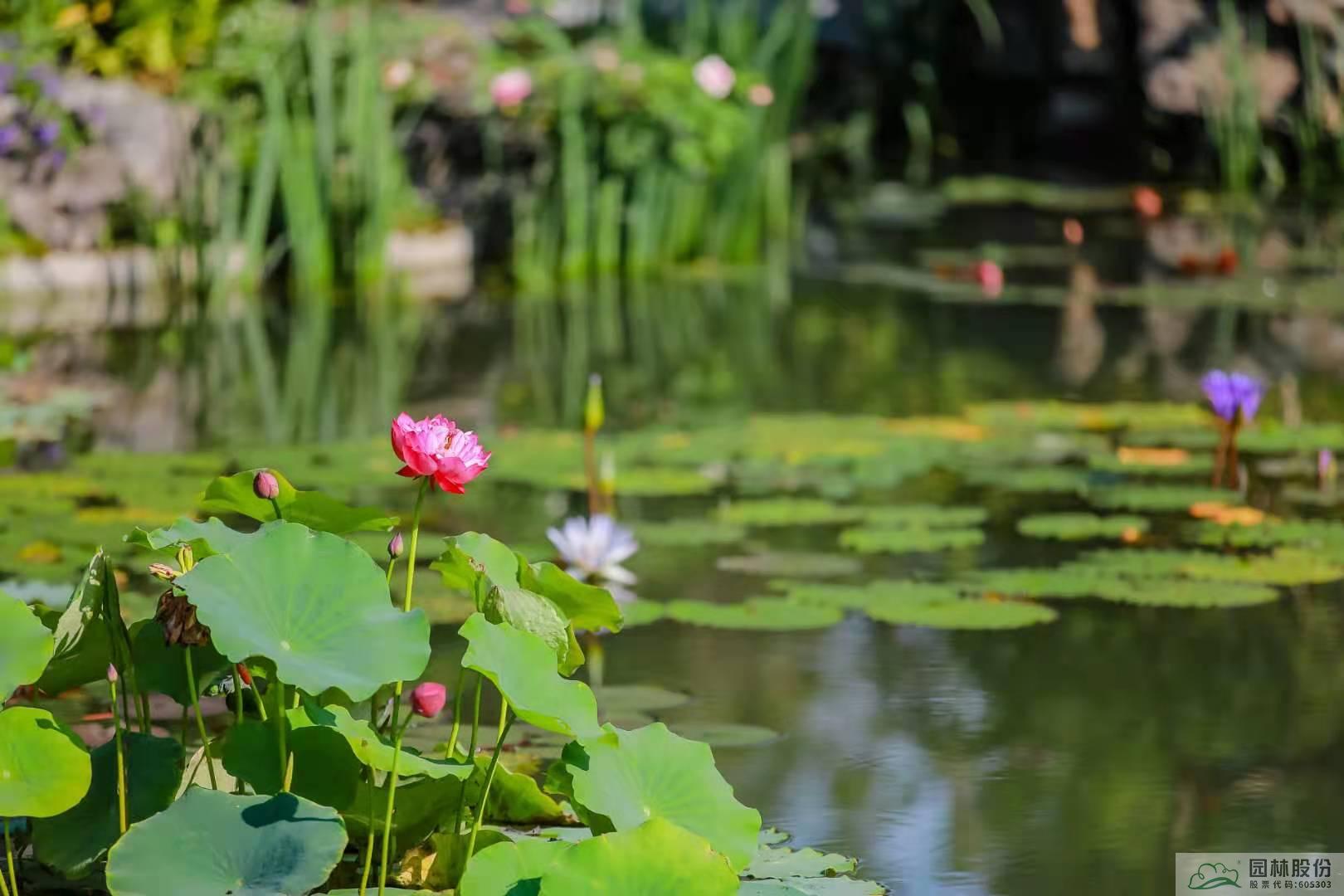 亚洲精品白浆高清久久久久久