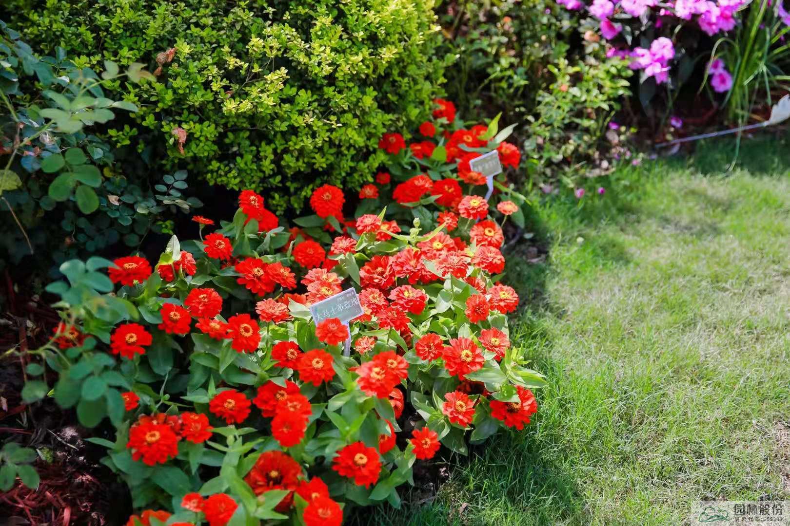 亚洲精品白浆高清久久久久久