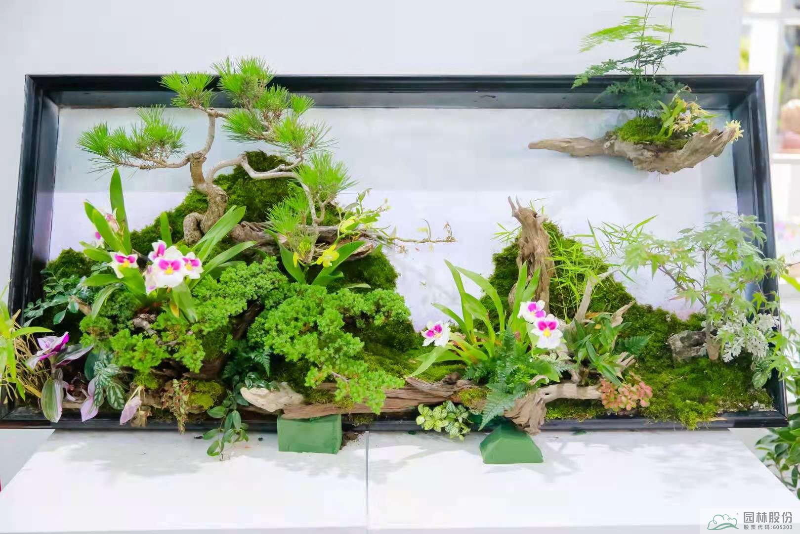 亚洲精品白浆高清久久久久久