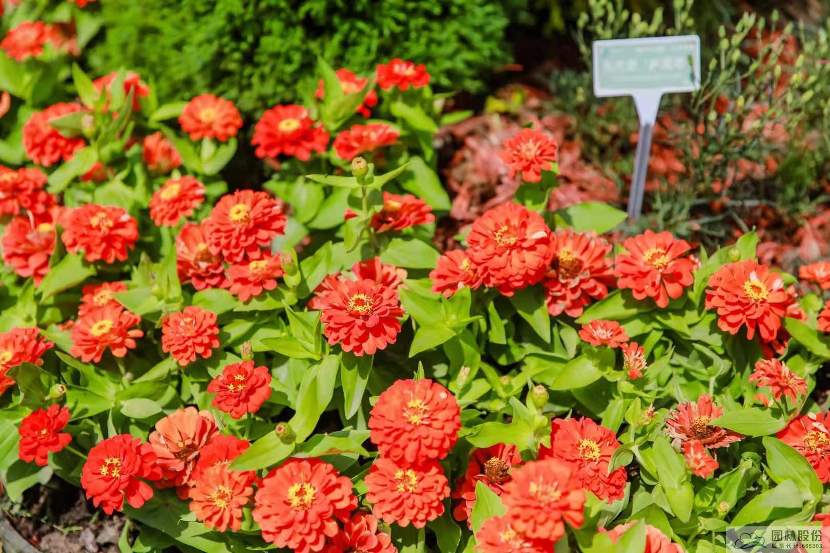 亚洲精品白浆高清久久久久久