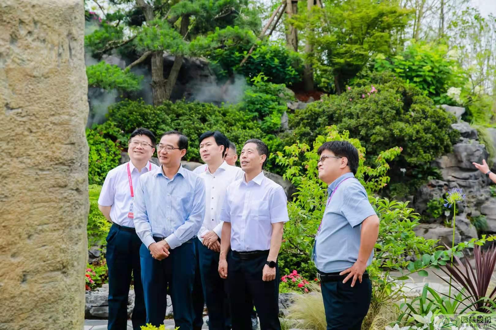 亚洲精品白浆高清久久久久久