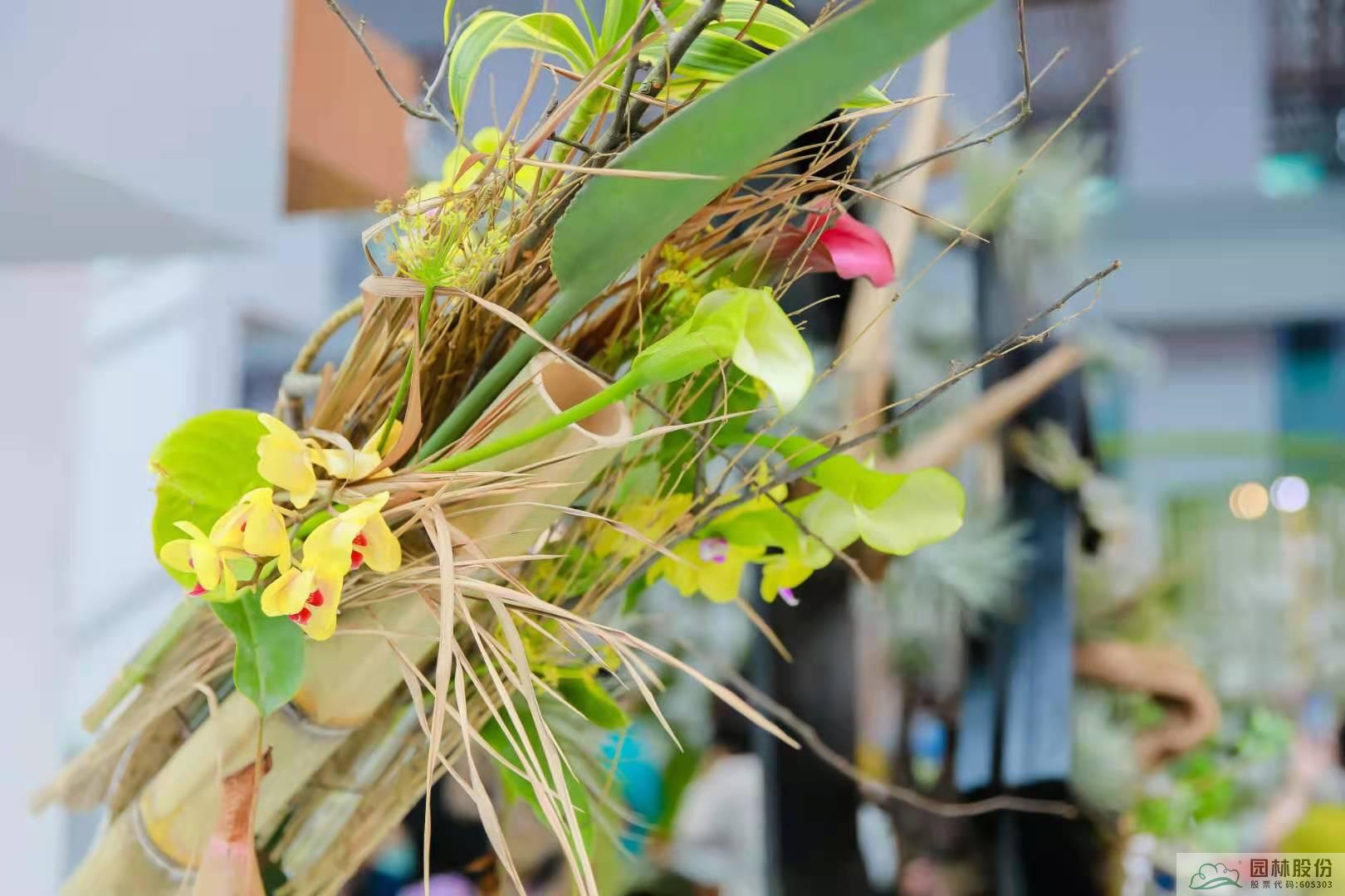 亚洲精品白浆高清久久久久久