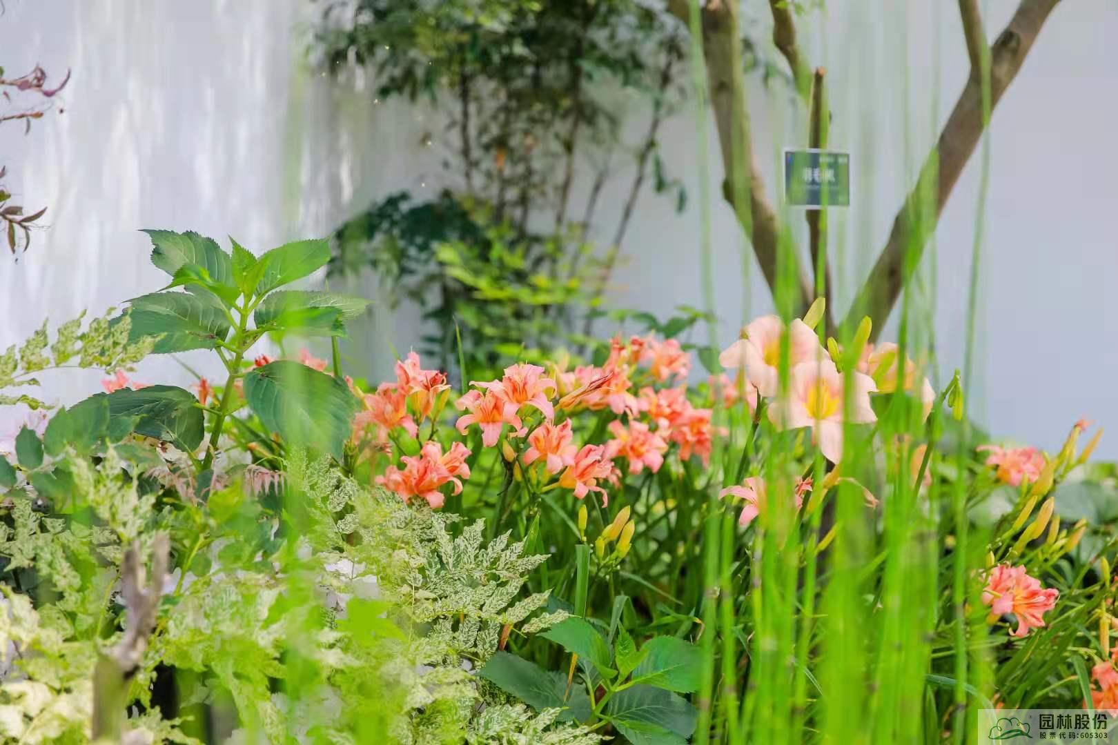 亚洲精品白浆高清久久久久久