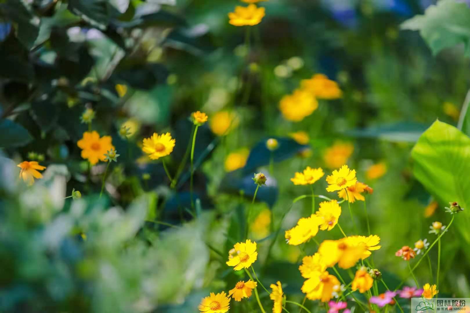 亚洲精品白浆高清久久久久久