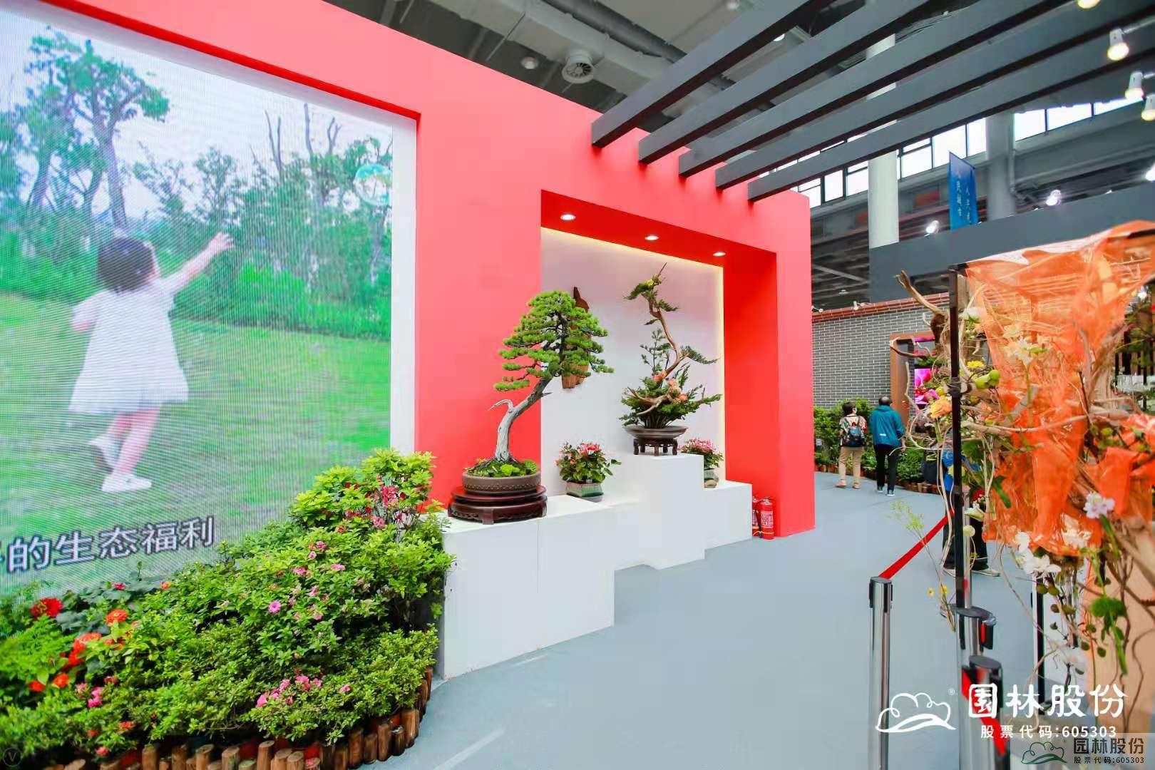 亚洲精品白浆高清久久久久久