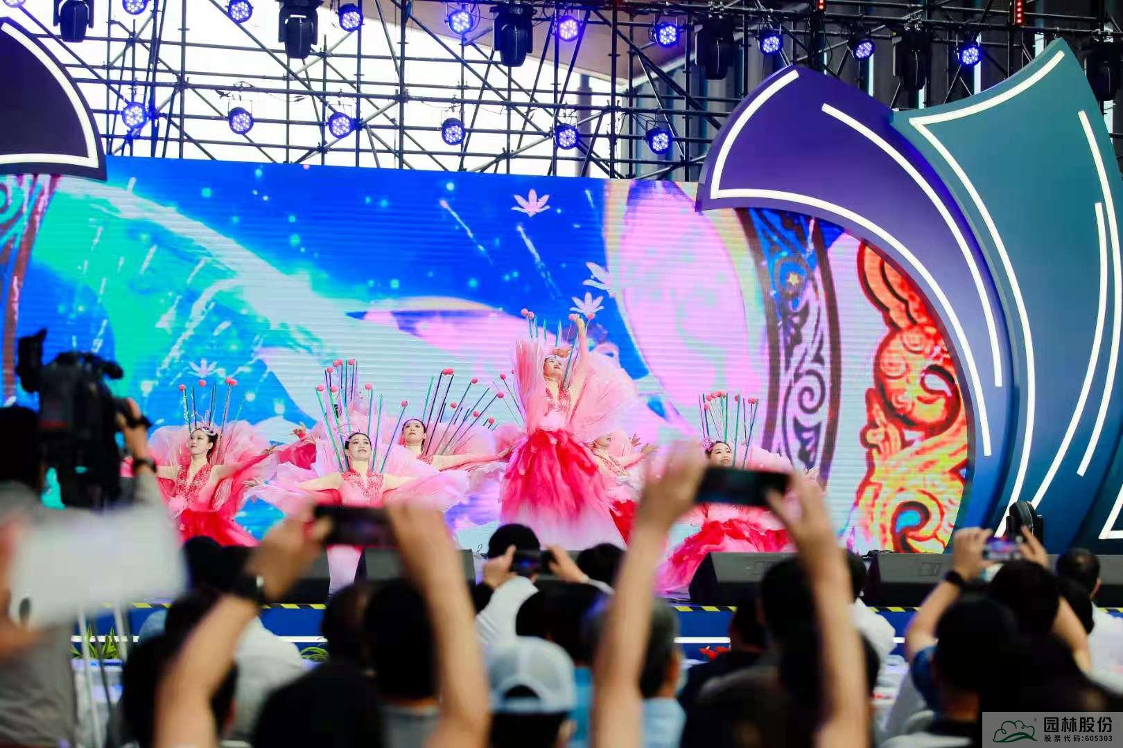 亚洲精品白浆高清久久久久久