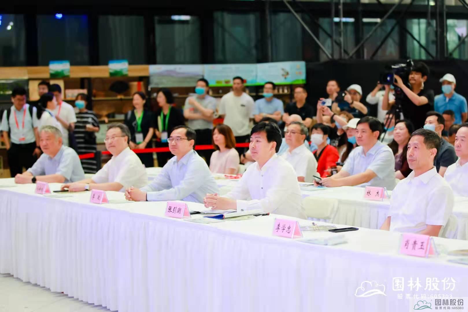 亚洲精品白浆高清久久久久久