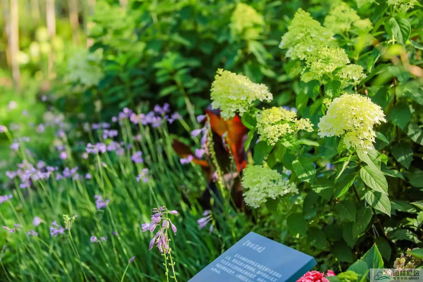 亚洲精品白浆高清久久久久久