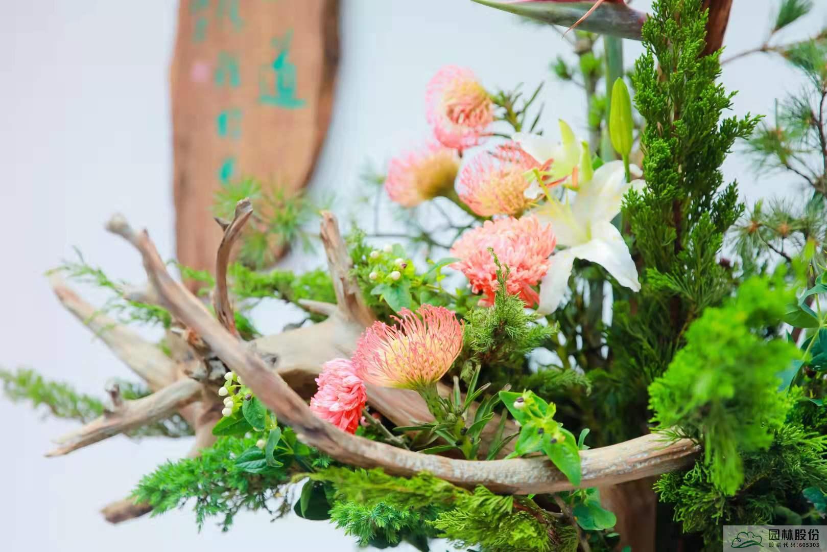 亚洲精品白浆高清久久久久久