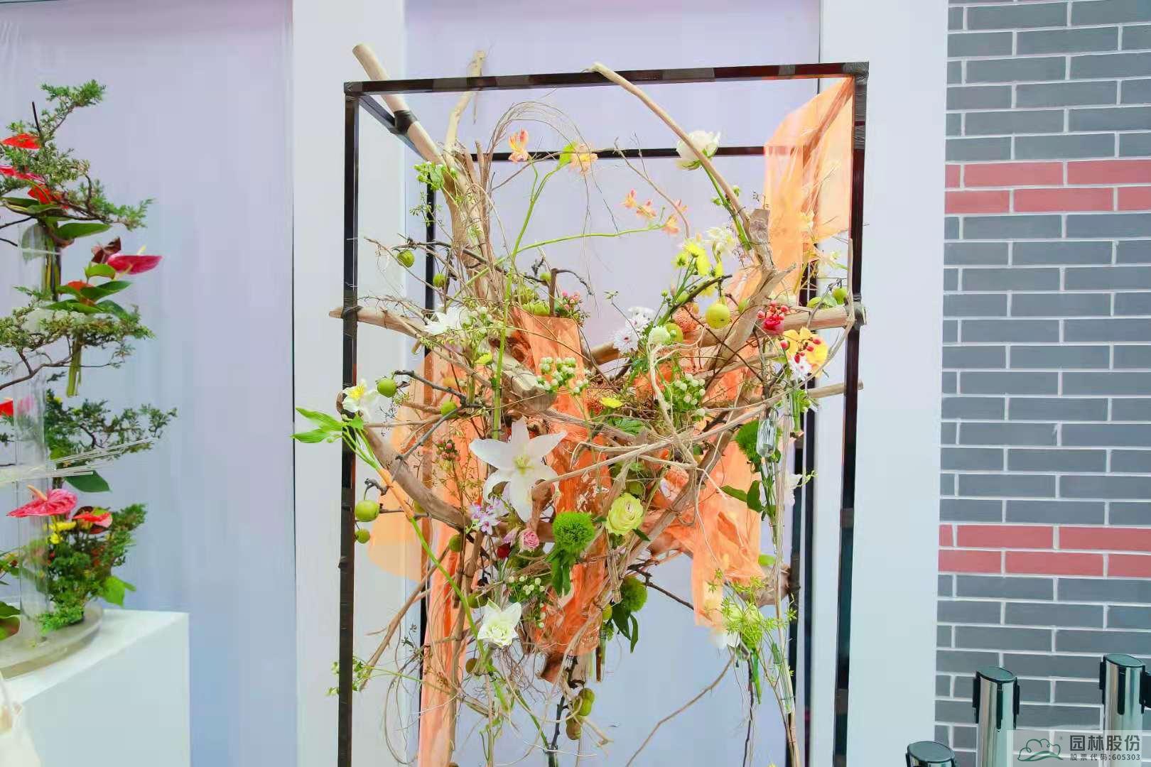 亚洲精品白浆高清久久久久久