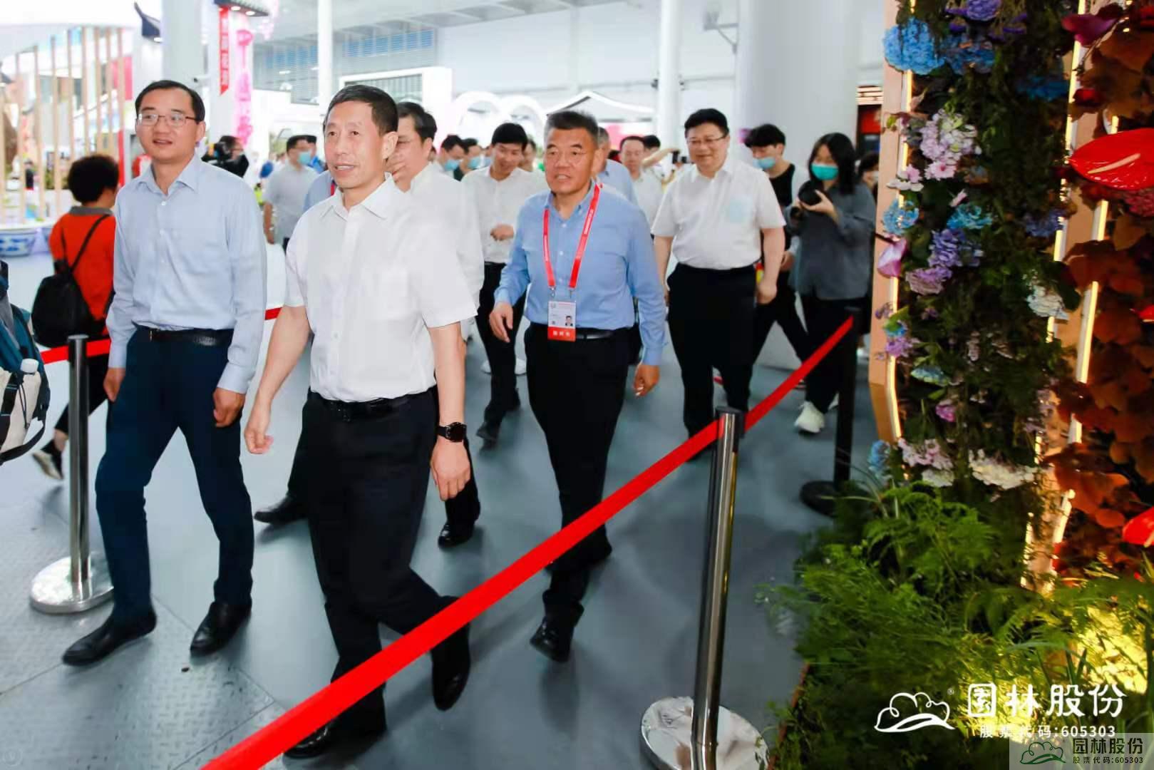 亚洲精品白浆高清久久久久久