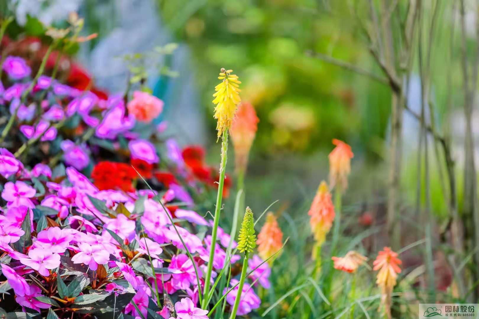 亚洲精品白浆高清久久久久久