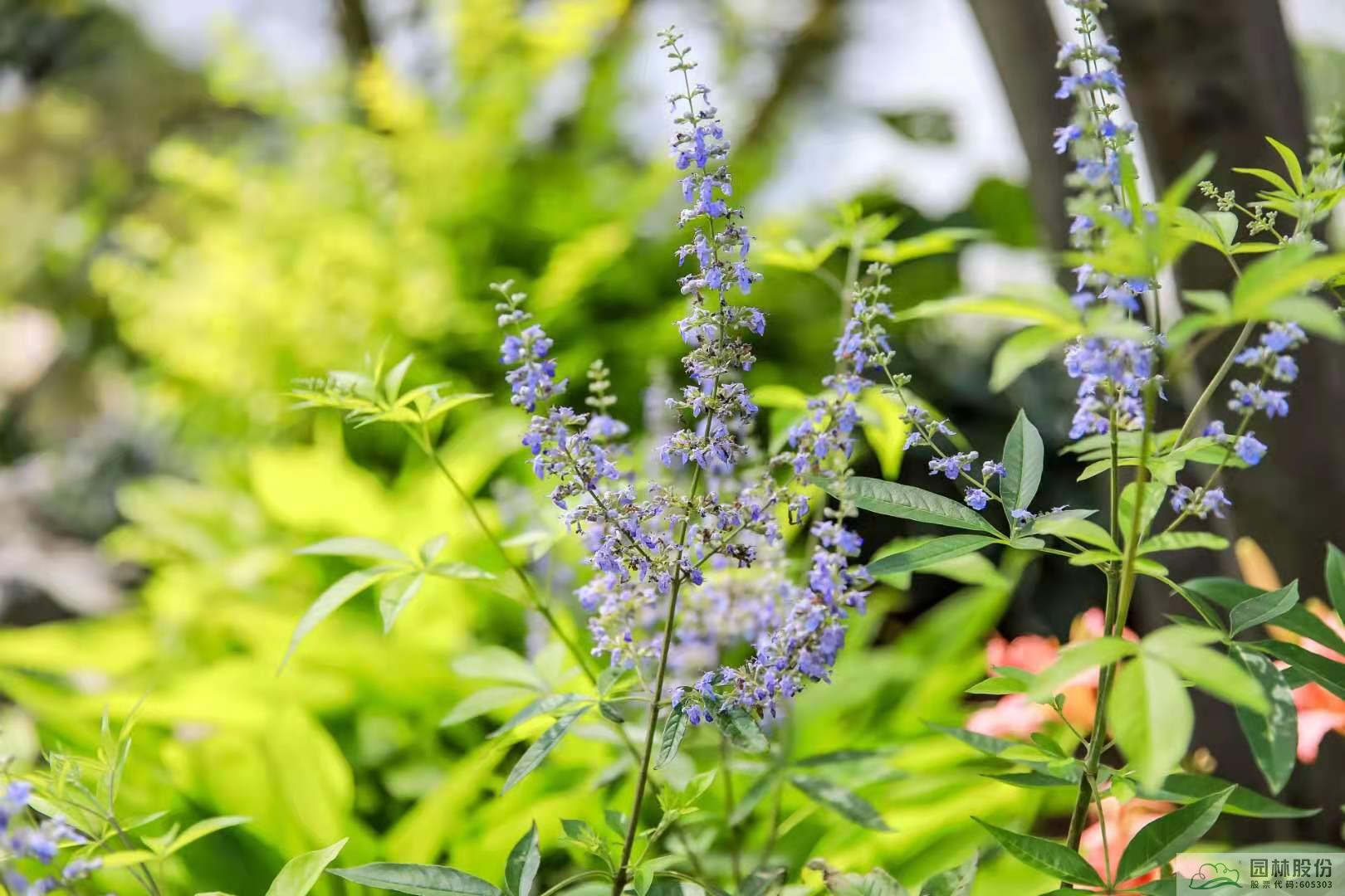 亚洲精品白浆高清久久久久久