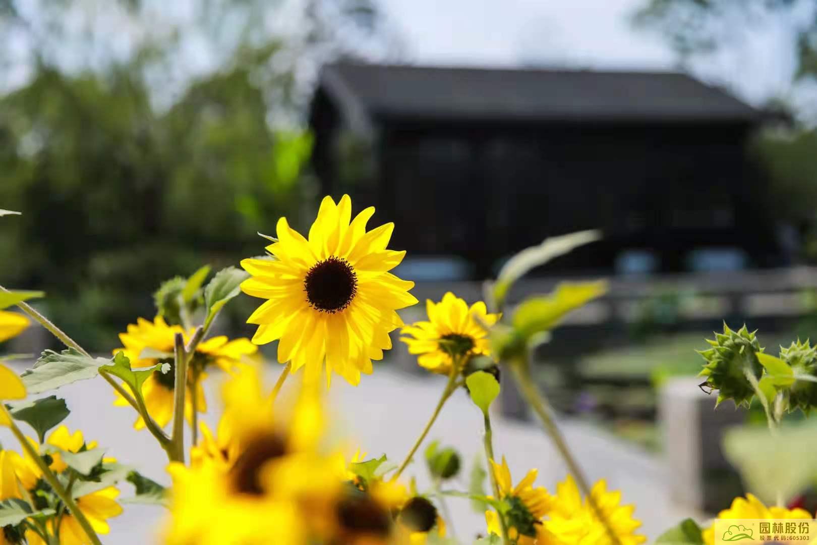 亚洲精品白浆高清久久久久久