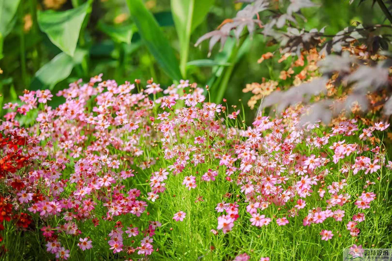 亚洲精品白浆高清久久久久久