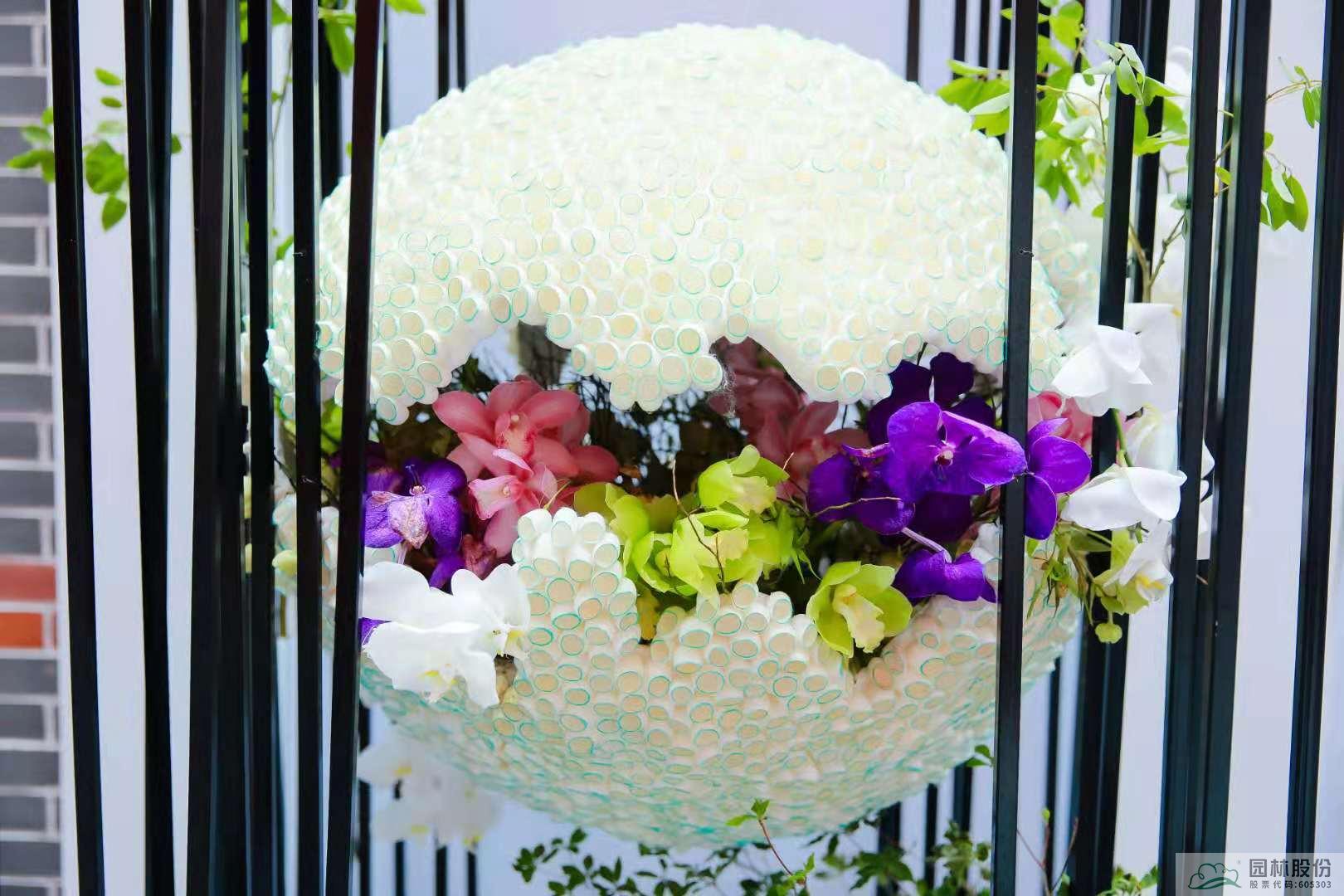 亚洲精品白浆高清久久久久久