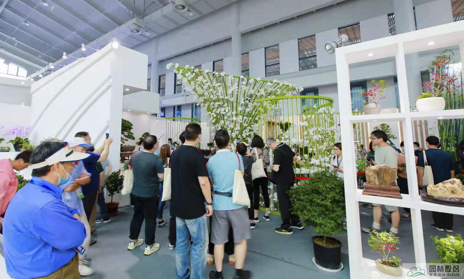 亚洲精品白浆高清久久久久久