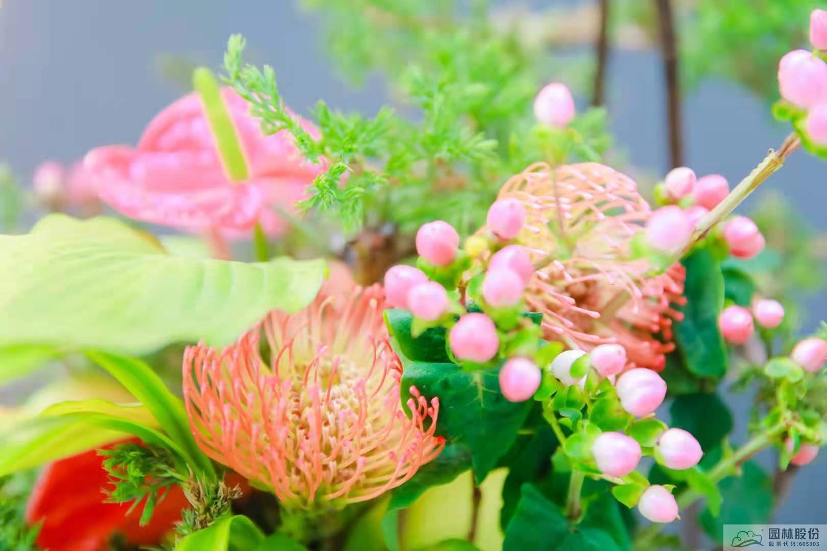 亚洲精品白浆高清久久久久久